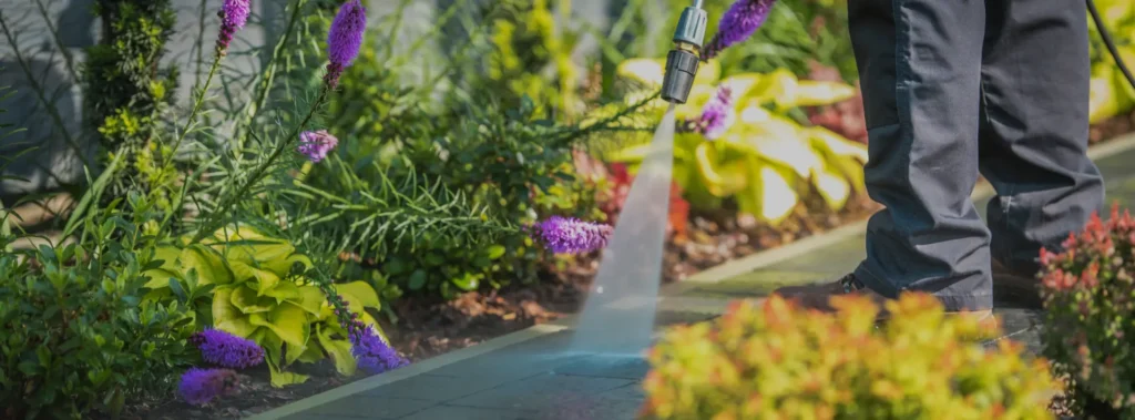 pressure cleaning gold coast experts