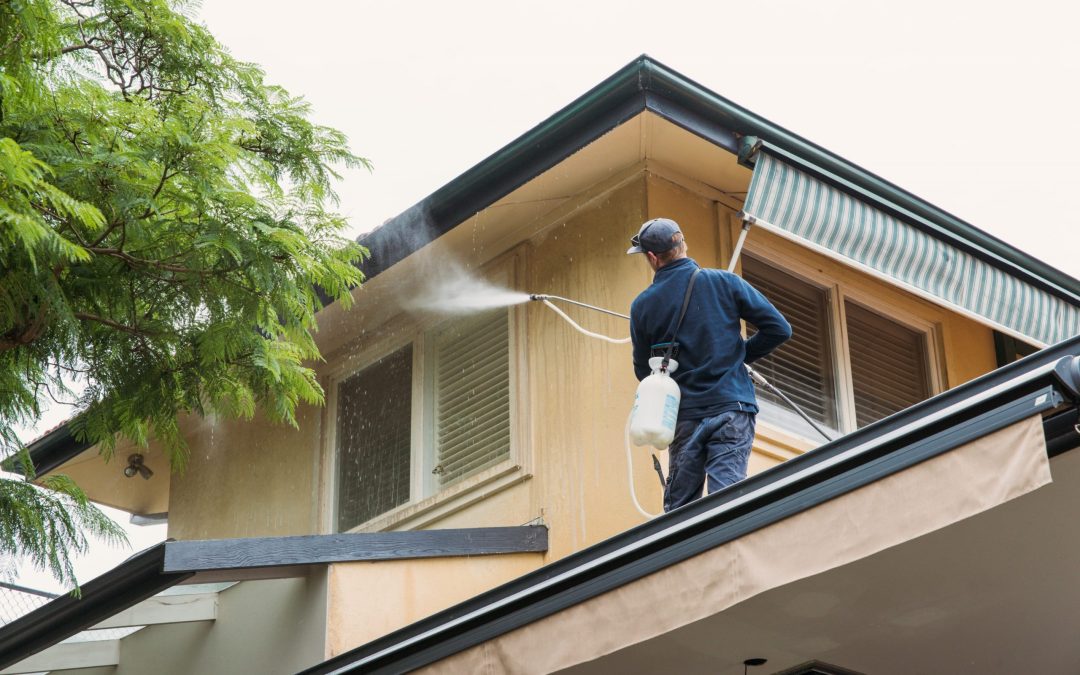 What Does Exterior House Washing Actually Include?