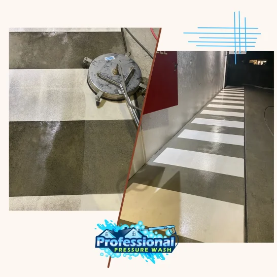 Professional soft washing